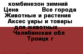 комбинезон зимний › Цена ­ 1 300 - Все города Животные и растения » Аксесcуары и товары для животных   . Челябинская обл.,Троицк г.